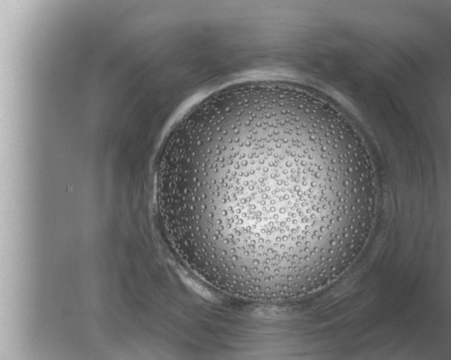 X0000080131366200612221846