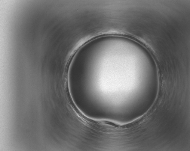 X0000080131367200612221846