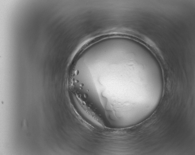 X0000080131368200612221846