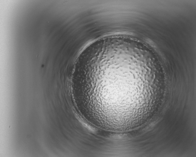 X0000080131369200612221846