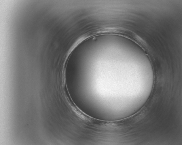 X0000080131370200612221846