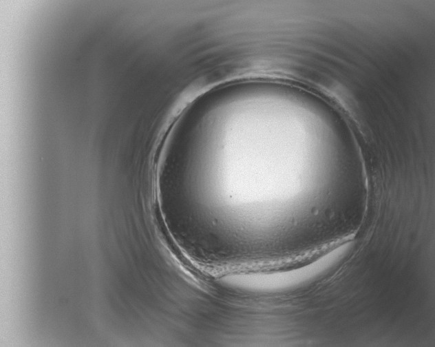 X0000080131371200612221846