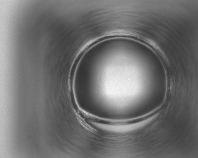 X0000080131372200612221846