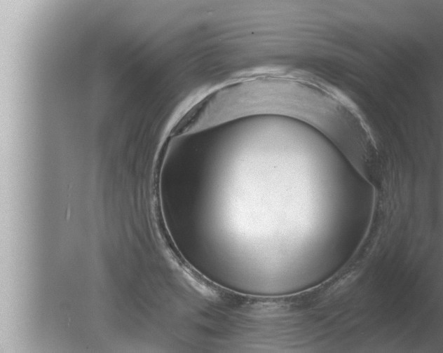 X0000080131373200612221846