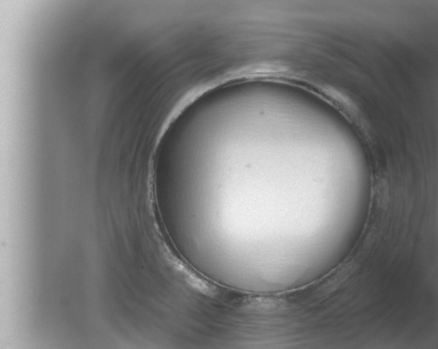 X0000080131374200612221846