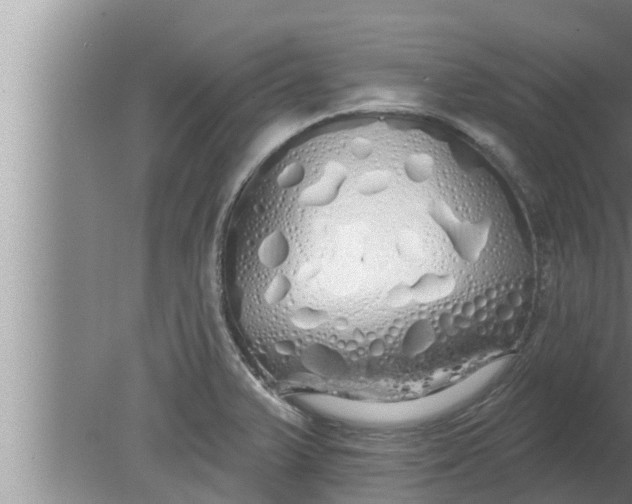 X0000080131375200612221846