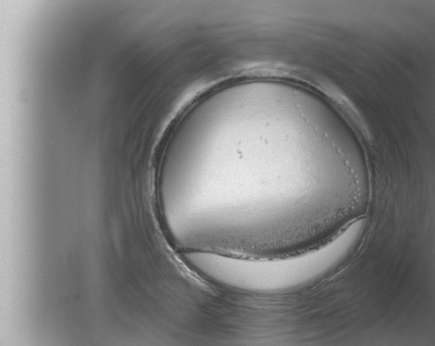 X0000080131376200612221846