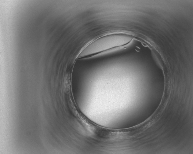 X0000080131377200612221846