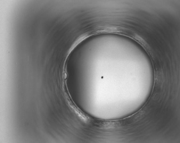 X0000080131378200612221846