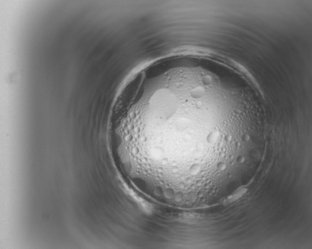 X0000080131379200612221846