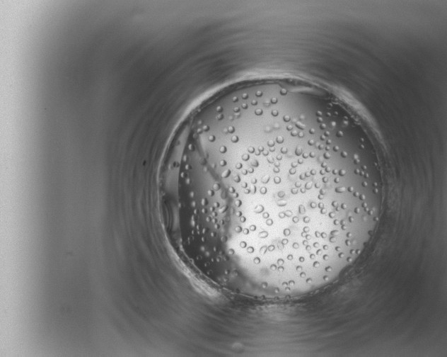 X0000080131380200612221846