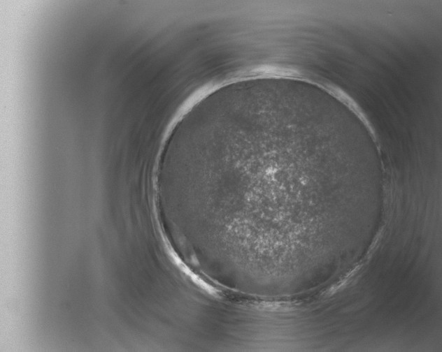 X0000080131381200612221846