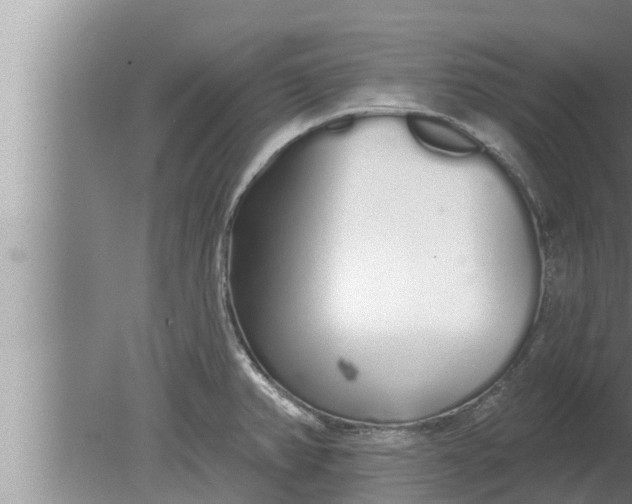 X0000080131382200612221846