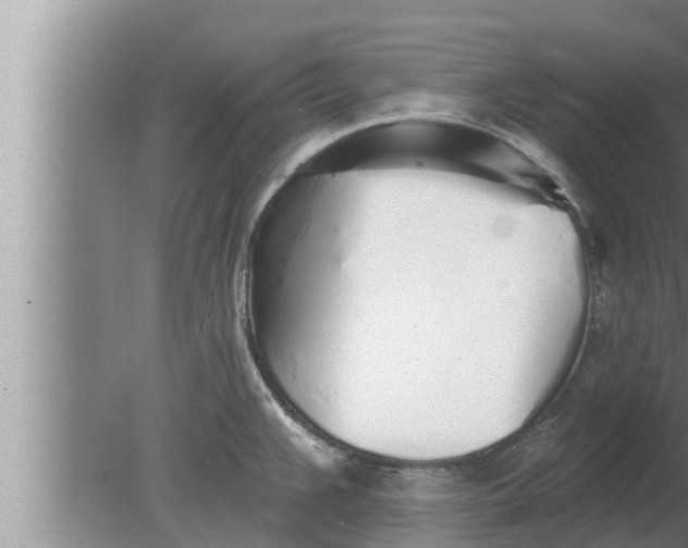 X0000080131383200612221846