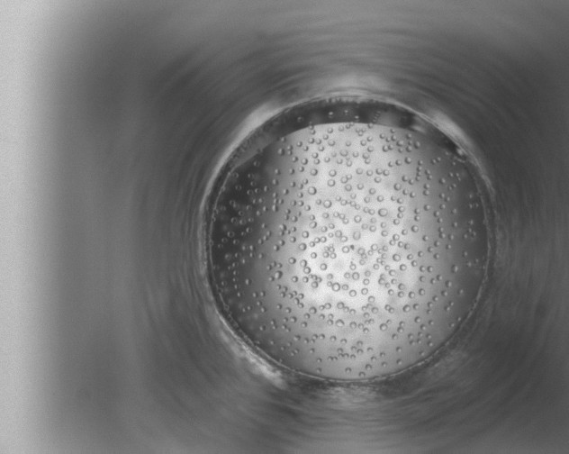 X0000080131384200612221846