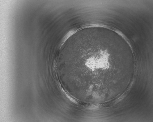 X0000080131385200612221846