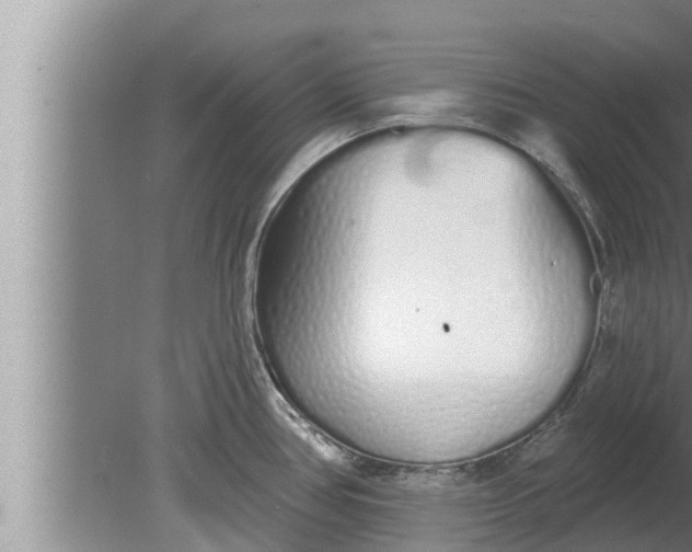 X0000080131386200612221846