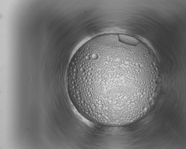 X0000080131387200612221846