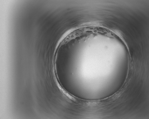 X0000080131389200612221846