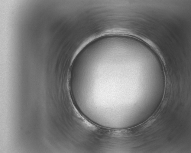 X0000080131390200612221846