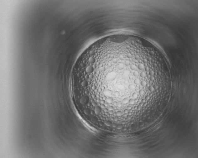 X0000080131391200612221846