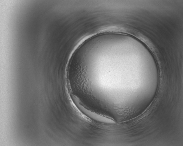 X0000080131392200612221846