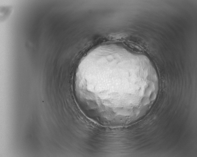 X0000080131393200612221845