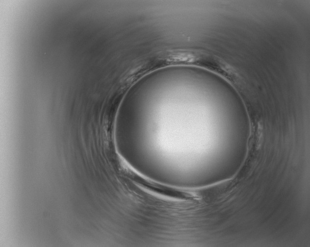 X0000080131394200612221845