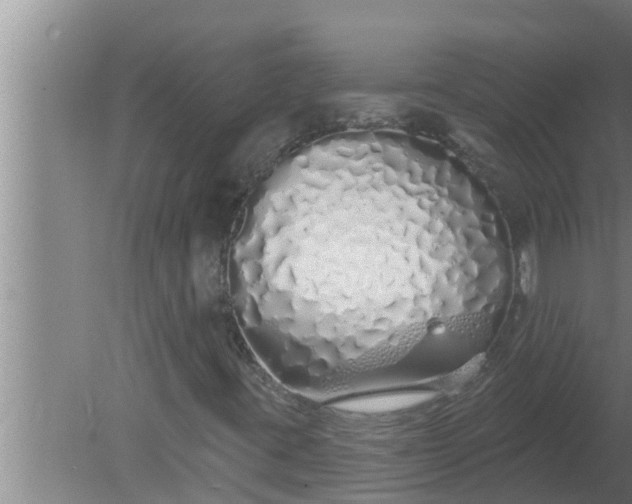 X0000080131395200612221845