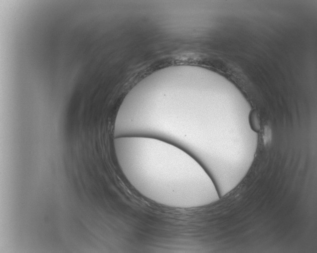 X0000080131396200612221845