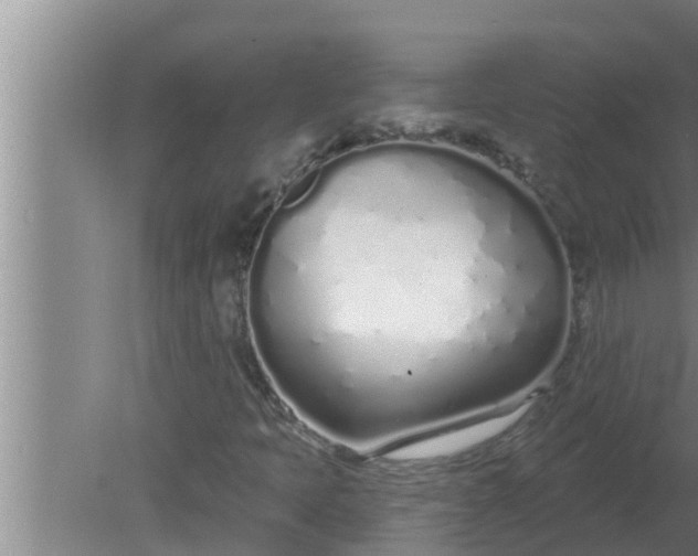 X0000080131397200612221845