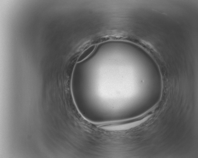 X0000080131399200612221845