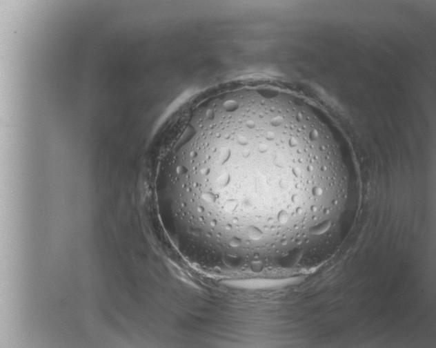 X0000080131400200612221845