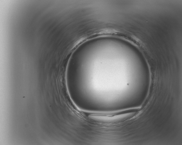 X0000080131401200612221845