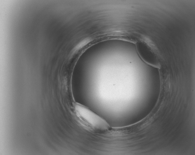 X0000080131402200612221845