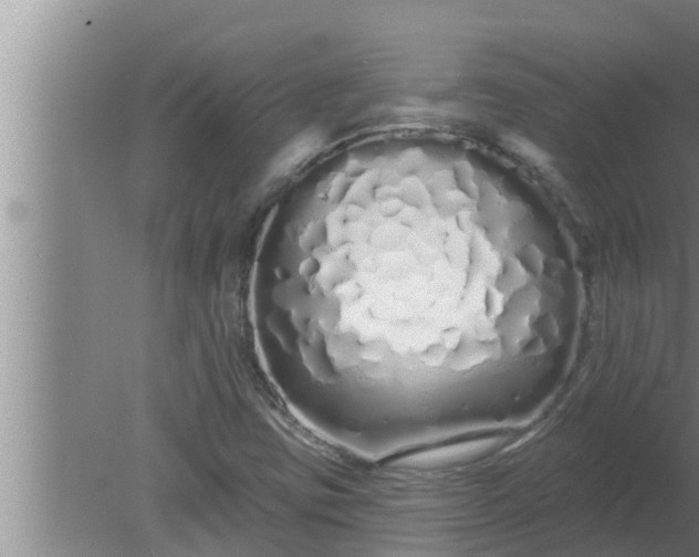 X0000080131403200612221845