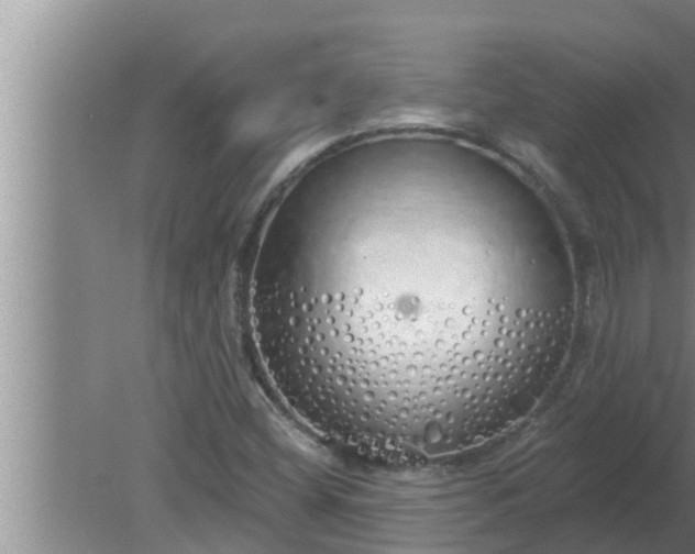 X0000080131404200612221845