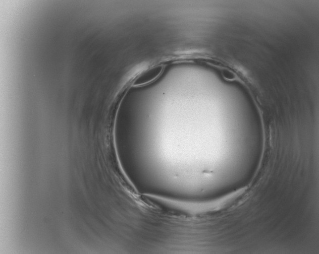 X0000080131405200612221845