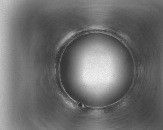 X0000080131406200612221845