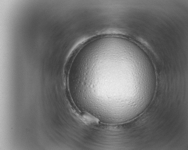 X0000080131408200612221845