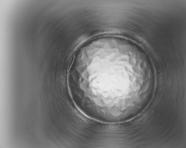 X0000080131409200612221845