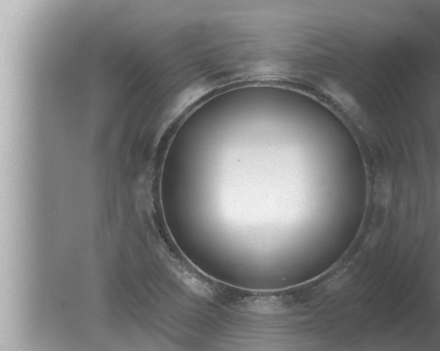 X0000080131410200612221845