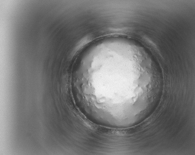 X0000080131411200612221845