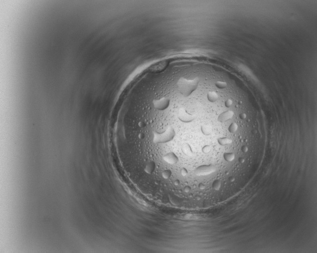 X0000080131412200612221845