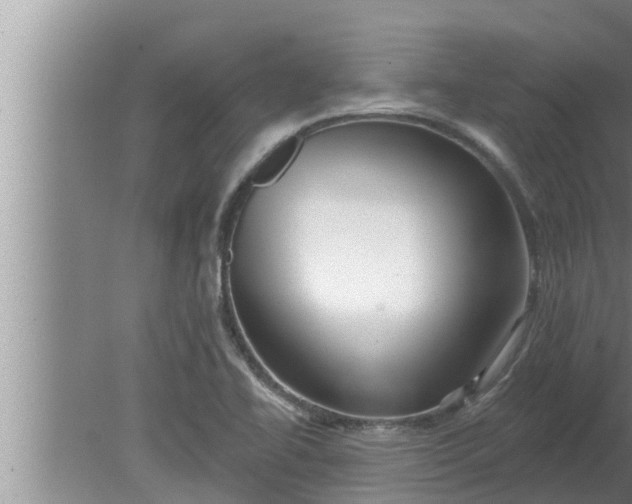 X0000080131414200612221845