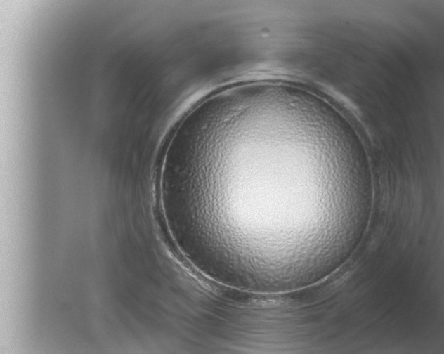 X0000080131415200612221845