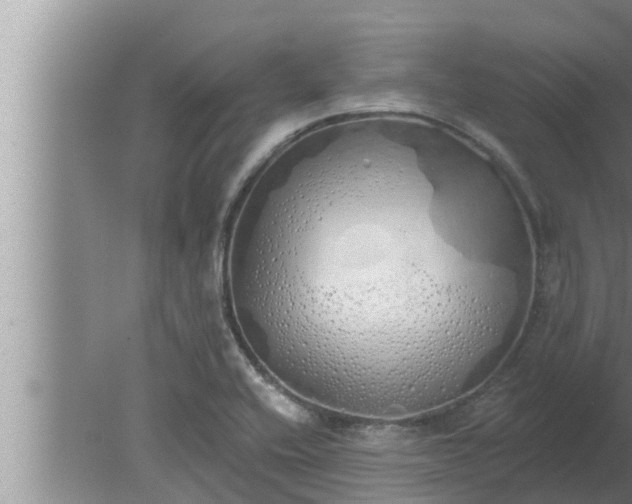 X0000080131416200612221845