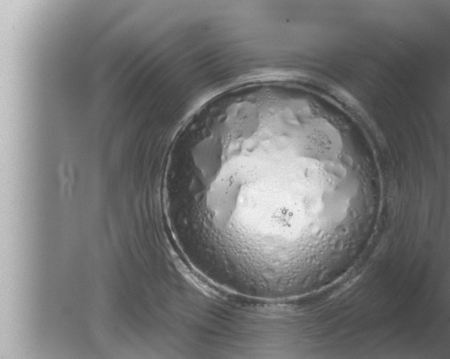 X0000080131417200612221845