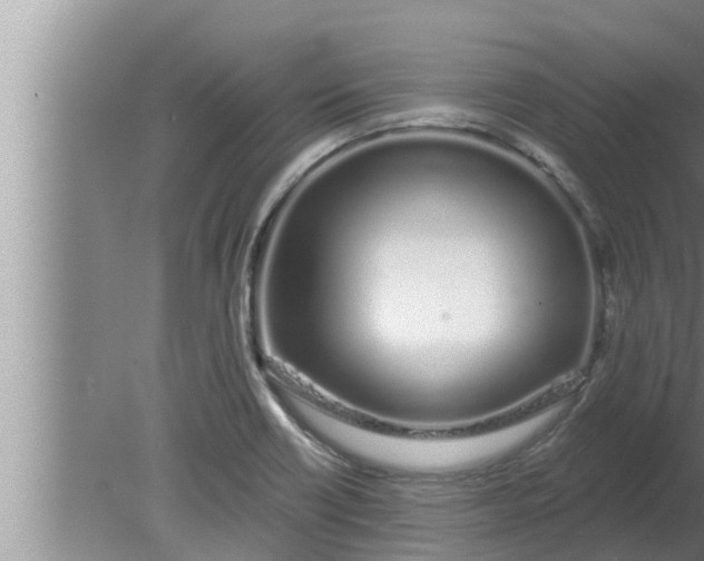 X0000080131418200612221845