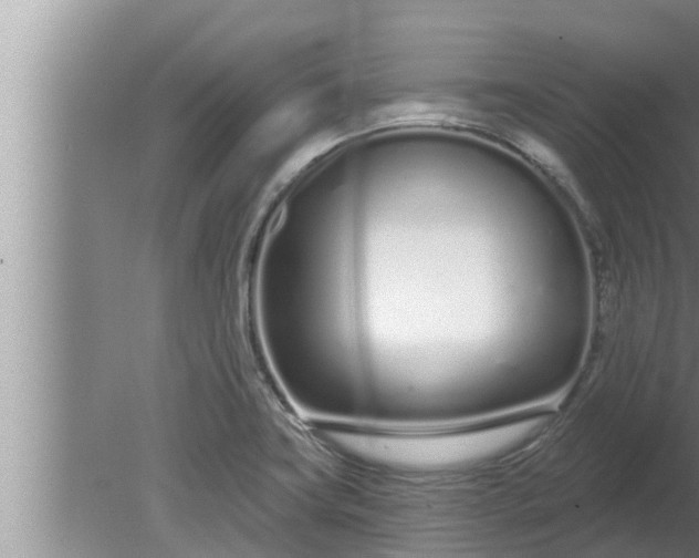 X0000080131419200612221845